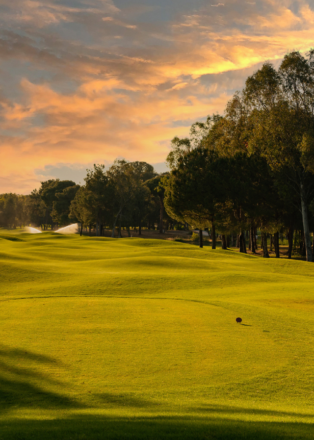 Golf courses